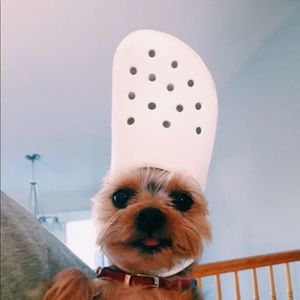 Meet your Posher, Charisma